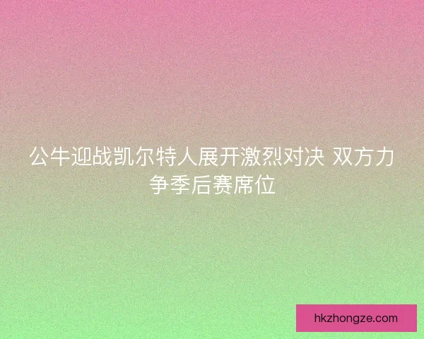 公牛迎战凯尔特人展开激烈对决 双方力争季后赛席位
